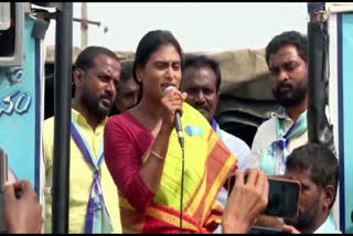 YS Sharmila angry with CM KCR