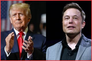Donald Trumps return on Twitter Elon Musk announced