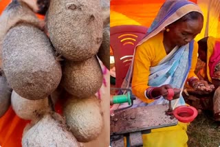 tribal tribal women self sufficient by rearing cocoons in Jamtara