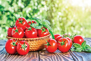 Tomato Health Benefits