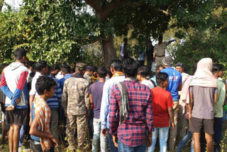 Dead body found hanging from tree in Pakur