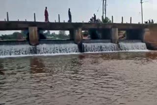 after-decades-jayamangali-river-is-overflowing