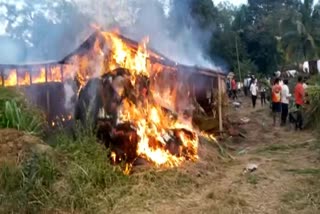 Animal Shed Fire