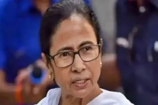 cm Mamata Banerjee