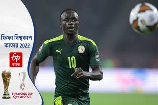 FIFA World Cup 2022 Senegal vs Netherlands Match Preview