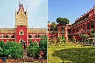 Calcutta High Court directs to demolish Illegal Construction in Rabindra Bharati University within three weeks