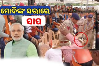 clamour created after snake entered in Prime Minister meeting at Jambusar in Gujarat