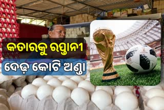 huge quantity eggs exported from Namakkal to Qatar for FIFA world cup 2022