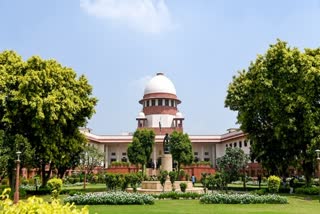 supreme court