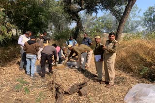 Panther cremation in Udaipur