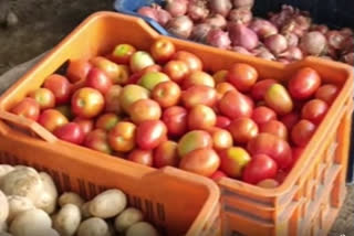 Low prices hit tomato growers at mandis in Maharashtra's Nashik