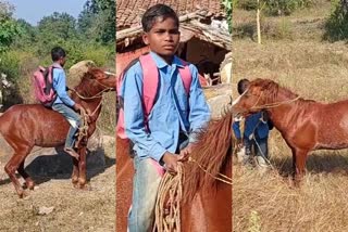 student goes to school by horse riding