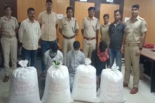 excise department seized huge amount of cannabis in Cuttack