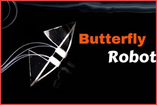 butterfly robot