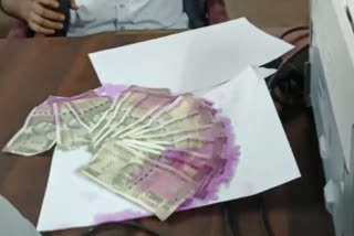 katni patwari taking bribe arrested