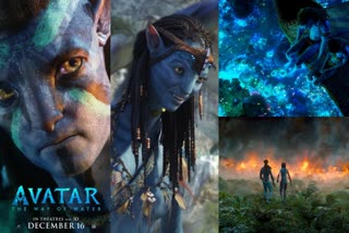 Hollywood movie Avatar 2 ticket price
