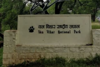 Raveena Tandon’s tweet about visitors ‘throwing stones’ on tiger at Bhopal's Van Vihar prompts probe