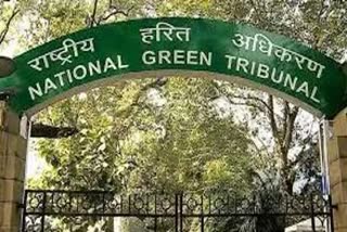 NGT comment on Jharkhand