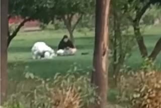 اے ایس آئی تاج محل میں نماز ادا کرنے والے شخص کے وائرل ویڈیو کی جانچ کرے گا