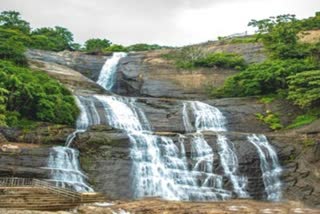 அருவிகளுக்கு ஆபத்தா? - ரெசார்ட்டுகள் மீது பாயப்போகும் நடவடிக்கை