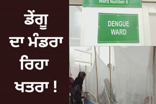 Increase in dengue patients at Ferozepur the hospital claimed adequate management