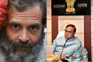 Rahul Gandhi looks like Saddam Hussein, says Assam CM Sarma; Cong terms him 'petty troll'