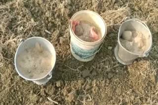 Bombs Recovered