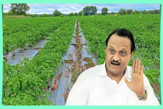 Ajit Pawar