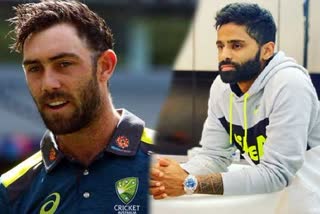 glenn maxwell suryakumar yadav