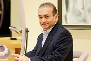 NIRAV MODI news