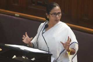 Mamata Banerjee supports Right to Jungle for people belong to Forest Area