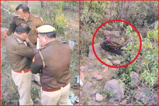 Dead body pieces found in Aravalli hills in Faridabad