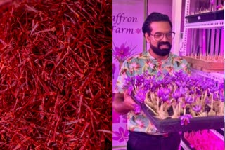 Youth's unique effort to grown saffron in container