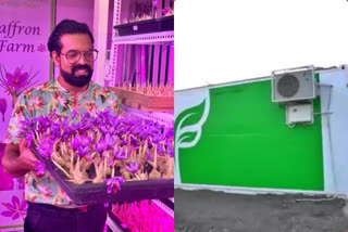 Maha: Youth's unique effort to grown saffron in container