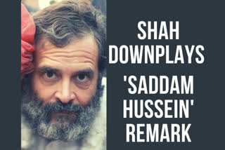 Union Home Minister Amit Shah on Thursday sought to downplay the Saddam Hussein remark made against Congress leader Rahul Gandhi by a BJP leader, saying such things should not be stretched.