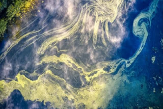 New technology maps detailed movement of microscopic algae, crucial for ocean health