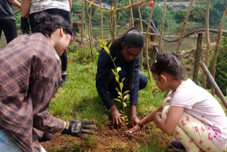 Students from different countries  planted fruit tree saplings in idukki  planted fruit tree saplings at muthirapuzhayar  american school of mumbai  munnar government school  idukki latest news  latest news today  ഫലവൃക്ഷതൈകൾ നട്ട് പിടിപ്പിച്ച്  മുതിരപ്പുഴയാറിന്‍റെ തീരത്ത്  വിവിധ രാജ്യങ്ങളില്‍ നിന്നുള്ള വിദ്യാര്‍ഥികള്‍  അമേരിക്കന്‍ സ്‌കൂള്‍ ഓഫ് മുബൈ  മൂന്നാർ ഗവ സ്‌കൂളിലെ വിദ്യാർഥികൾ  അങ്ങാടി കുരുവികള്‍ക്ക് കൂട് കൂട്ടല്‍  തവളയെ സംരക്ഷിക്കാന്‍ കുളങ്ങള്‍ നിര്‍മ്മിക്കല്‍  ഇടുക്കി ഏറ്റവും പുതിയ വാര്‍ത്ത  ഇന്നത്തെ പ്രധാന വാര്‍ത്ത