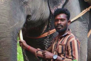 munnar elephant park  murder at munnar elephant park  young man killed at munnar elephant park  സഹപ്രവര്‍ത്തകന്‍റെ കുത്തേറ്റ് യുവാവ് മരിച്ചു  മൂന്നാര്‍  ആനസവാരി  ആനസവാരി കേന്ദ്രം കൊലപാതകം  തൃശൂർ  മൂന്നാർ മാട്ടുപെട്ടി