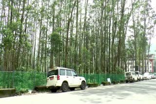 Entry banned to Munnar s Grandis Garden  Grandis Garden  Grandis plantation  Grandis plantation in munnar  സഞ്ചാരികള്‍ക്ക് പ്രവേശന വിലക്ക്  വേലി കെട്ടി ഗ്രാന്‍ഡിസ് തോട്ടം  പ്രവേശനം നല്‍കുക സര്‍ക്കാറിന്‍റെ ഉത്തരവ് പ്രകാരം  സര്‍ക്കാറിന്‍റെ ഉത്തരവ്  മാലിന്യ നിക്ഷേപം  കെഎസ്‌ആര്‍ടിസി ഡിപ്പോ  മൂന്നാറിലെ ഗ്രാന്‍ഡിസ് തോട്ടം  വിനോദ സഞ്ചാരികള്‍  ഇടുക്കി വാര്‍ത്തകള്‍  ഇടുക്കി ജില്ല വാര്‍ത്തകള്‍  ഇടുക്കി പുതിയ വാര്‍ത്തകള്‍  kerala news updates  latest news in Idukki  Idukki news updates