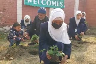 آرمی اسکول، شوپیاں میں شجر کاری مہم