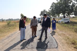 Collector inspection of road construction work