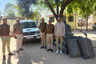 Illegal Doda saw dust worth Rs 9 lakh seized,