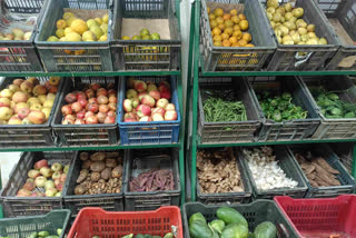 Vegetable Price in ranchi
