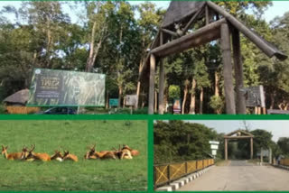 Forests to explore in winter for nature lovers in Uttar Pradesh