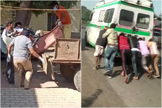 Rajasthan bodies in garbage van Sawai Madhopur  Gangapur Rajasthan bodies carried in garbage van  Patient family pushes ambulance Banswara  Ambulance runs out of diesel Bansawara Rajasthan  മൃതദേഹം കൊണ്ടുപോകാൻ മാലിന്യവണ്ടി  രാജസ്ഥാനിൽ മൃതദേഹം മാലിന്യ വണ്ടിയിൽ  രോഗിയുടെ ജീവനെടുത്ത് ആംബുലൻസ്  രോഗിയുമായി വന്ന ആംബുലൻസിന്‍റെ ഇന്ധനം തീർന്നു  രാജസ്ഥാനിൽ ആംബുലൻസ് പണിമുടക്കി രോഗി മരിച്ചു  Rajasthan Viral Videos  മൃതദേഹം മാലിന്യ വണ്ടിയിൽ  ഗംഗാപൂർ ജനറൽ ആശുപത്രി  ഗംഗാപൂർ  Hospital load bodies into garbage van in Rajasthan  Hospital staff load bodies onto garbage van  Rajasthan Official apathy in medical field