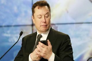 twitter head elon musk