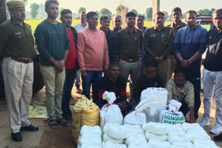 300 kg adulterated paneer destroyed in Karauli, 3 accused arrested