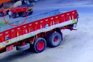 Pedestrian died falling under tractor trolley