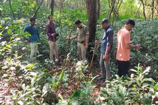 Dharmasthala police search in forest area