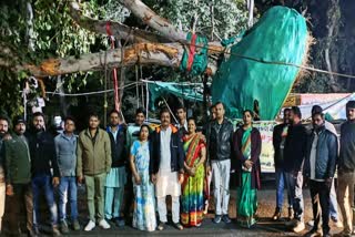 KHANDWA SAVE TREE INITIATIVE 75 YEARS OLD PEEPAL TREE SHIFTED TO ANOTHER PLACE